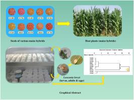 Population growth, digestive physiology, and antioxidant enzyme activities of Leucania loreyi (Lepidoptera: Noctuidae) on maize hybrids
