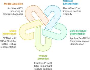 AI assisted diagnosis using DEANet to improve correct diagnosis of iliac wing fracture and ischial spine fracture