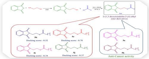 An efficient synthesis of hybrid heterocyclic–fatty acid derivatives of 2-(1, 3-dioxoisindolin-2-yl) ethyl ester, biological evaluation and their molecular docking studies