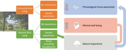 Effects of nature experience on mental well-being and physiological stress parameters in an experimental bird walk setting – the role of bird song