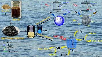 Beyond traditional bio-oil potential: Converting to high-energy solid fuel, Pb²⁺ sensing carbon nanodots, and efficient photocatalysts for environmental applications