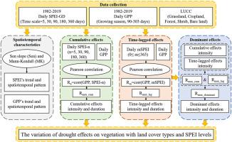 Fine-scale analysis of the cumulative and time-lagged effects of drought on vegetation in the Ili River Basin, Central Asia