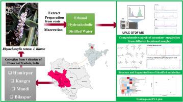 Comprehensive UHPLC-Q-TOF-IMS based non-targeted metabolome analysis of Rhynchostylis retusa. L Blume revealed chemometric variations. A case study from Western Himalayas