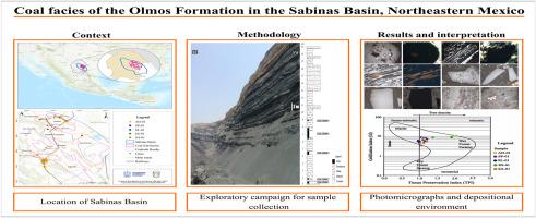 Coal facies of the Olmos Formation in the Sabinas Basin, Northeastern Mexico