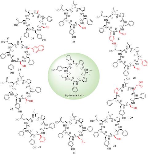 Therapeutic Potential of Stylissatin A and Related Cyclic Peptides From Marine Sponges