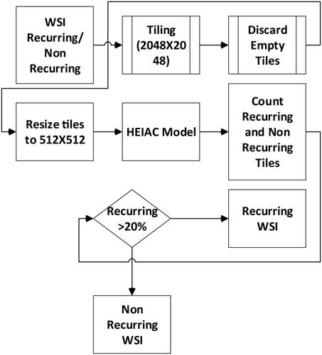 Predicting the Recurrence of Sporadic Odontogenic Keratocyst Using Whole-Slide Histopathology Images With the Hybrid Encoder Iterative Attention Convolution Model