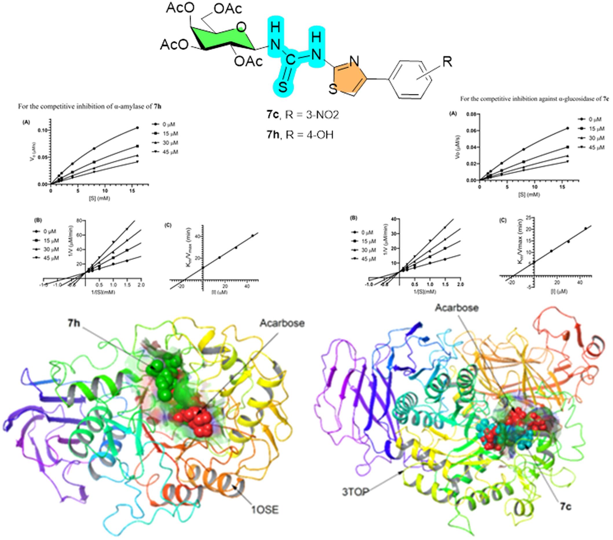 Substituted D-Galactose-Conjugated Thiazole-Thioureas Derivatives as Promising Antidiabetic Agents: Synthesis, In Vitro Inhibition, and Molecular Simulation for α-Amylase, α-Glucosidase, Protein Glycation, and Oxidative Stress