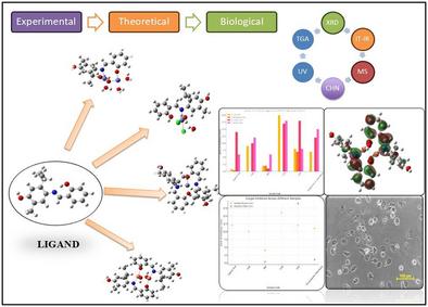 Computational and Experimental Studies on Carvacrol-Derived Transition Metal Complexes: Structure, Stability, and Biological Activity