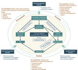 Sustainability of rare earth elements consumption in a circular economy perspective