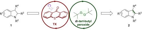 Visible-light-induced dehydrogenation of Indolines