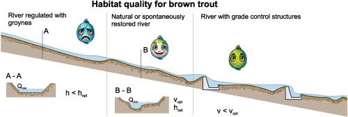 The impact of anthropogenic modification of a mountain river channel on the quality of aquatic habitats