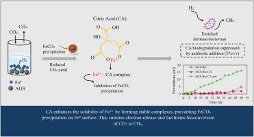 Dual role of citric acid: facilitate the bioconversion of CO2 to CH4 and enhance bioavailability of zero-valent iron