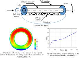 Systematic numerical study of cuttings transport using drilling fluids modified with single-walled carbon nanotubes
