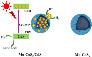 Manganese-doped amorphous core-shell cobaltous sulfide for enhanced photocatalytic hydrogen evolution