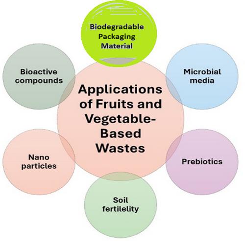 A Comprehensive Analysis of Potential Management Strategies for Valorization of Waste From Fruits and Vegetables Turning Trash Into Treasure