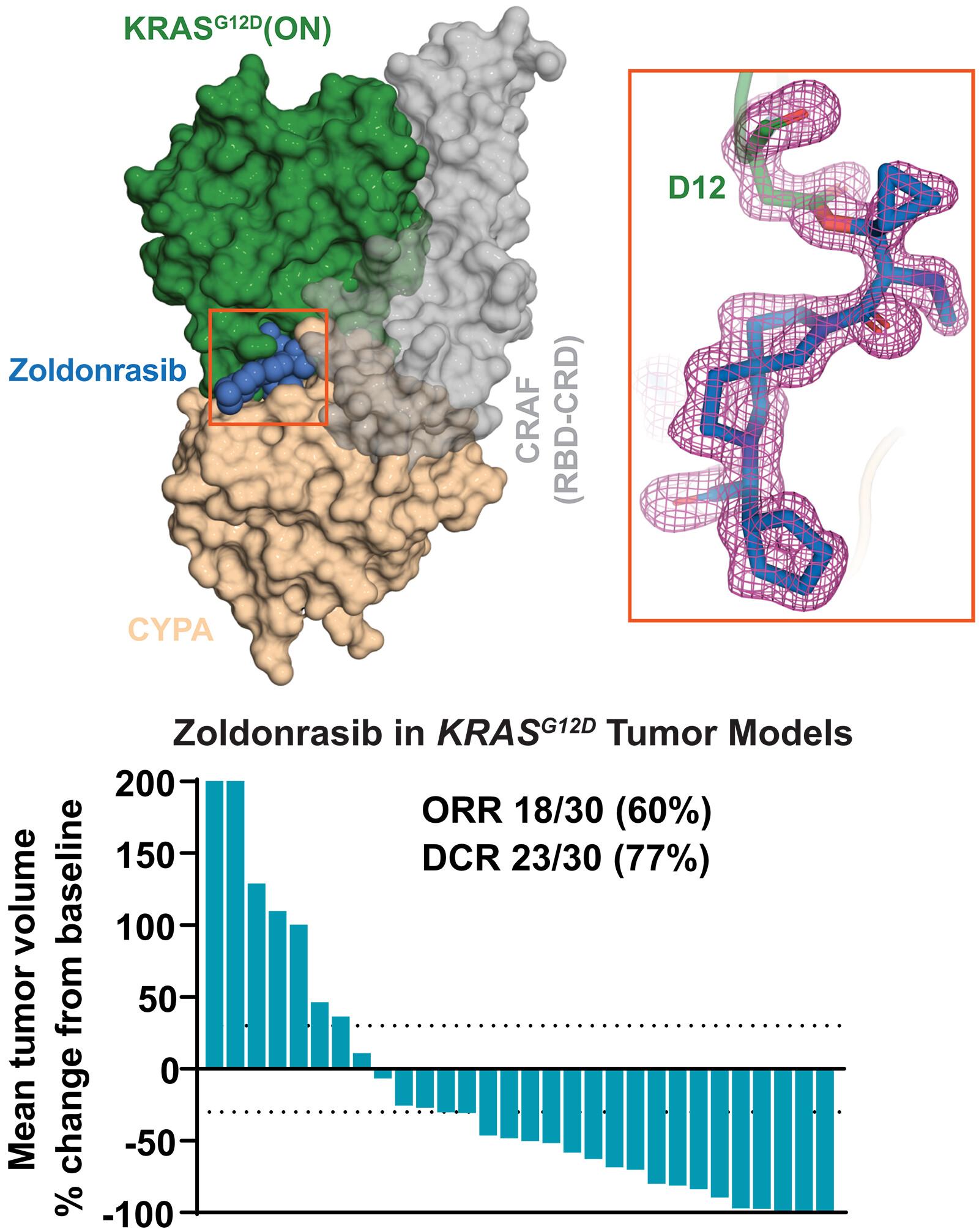 A neomorphic protein interface catalyzes covalent inhibition of RASG12D aspartic acid in tumors