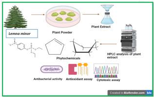 GC-MS, FTIR, XRD, UV–Vis, and HPLC profiling of the natural bioactive constituents of Lemna minor L. extract and its in-vitro antimicrobial and anti-parasitic activities against pathogenic organisms