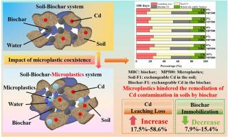 Adsorption, immobilization mechanisms and potential risks of Cd in soil-biochar-microplastics system
