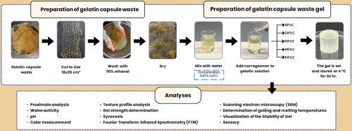 Techno-functional gelling mechanism and rheological properties of gelatin capsule-waste gel modified with kappa-carrageenan for future functional food applications
