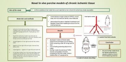 Novel in vivo porcine models of chronic ischemic tissue