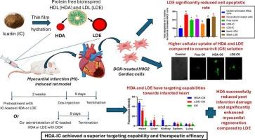 HDL and LDL-bioinspired nanocarriers in acellular targeted delivery of Icariin for cardiac repair post myocardial infarction