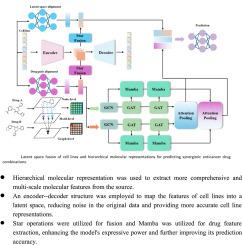 Predicting synergistic drug combinations via hierarchical molecular representation and cell line latent space fusion