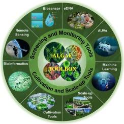 Unlocking the algae toolbox: Cutting-edge tools for environmental and biotechnological solutions