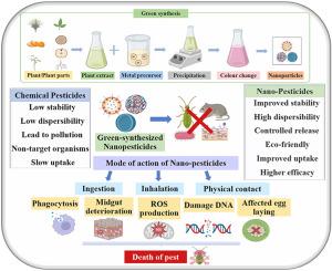 Nanopesticides in plant protection: Potentials, mechanistic insights, and future perspectives against phytopathogens and insect pests