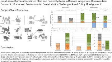 Small-scale biomass combined heat and power systems in remote indigenous communities: Economic, social and environmental sustainability challenges amid policy misalignment