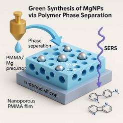 Unleashing the potential of magnesium nanoparticles: A green synthesis for sustainable sensing solutions