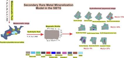 Secondary rare metal enrichment following biotite alteration in the Umm Naggat granitic pluton, Central Eastern Desert, Egypt