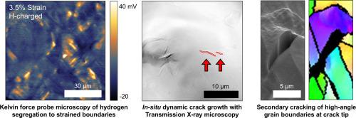 Direct observation of strain-enhanced hydrogen segregation and failure at high-angle grain boundaries in nickel