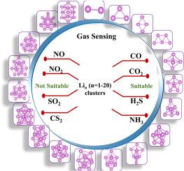 Computational insights into Li cluster–based gas sensors