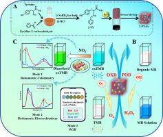 Multi-functional Fe-metallohydrogel with peroxidase/oxidase activities for dye degradation and nitrite detection