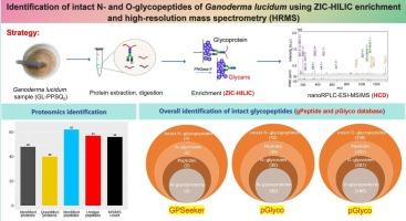 Identification of intact N- and O-glycopeptides of Ganoderma lucidum using ZIC-HILIC enrichment and high-resolution mass spectrometry (HRMS)