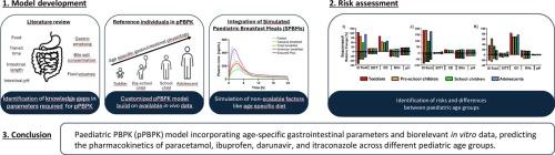 Age-dependent oral drug absorption in children: Assessment of a bottom-up modelling approach