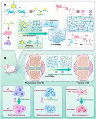 Supramolecular drug-laden hydrogel based on structural tautomerization enhances drug delivery for rheumatoid arthritis treatment
