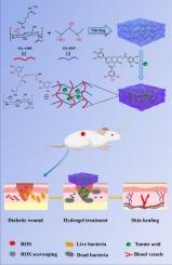 Tannic acid-mediated hydrogel crosslinking boosts diabetic wound healing via antibacterial and pro-angiogenesis