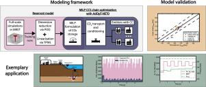 Optimizing carbon capture and storage infrastructure including physics-based reservoir modelling