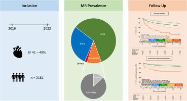 Prognostic value of mitral valve regurgitation in patients with heart failure with mildly reduced ejection fraction