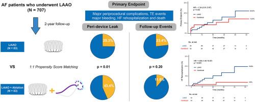 Combining catheter ablation and left atrial appendage occlusion in high-risk patients with atrial fibrillation: a propensity score-matched analysis