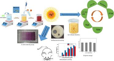 Cellular interactions of colloidal nanosilver and role of alginate capping in prevention of soluble Ag+ leaching