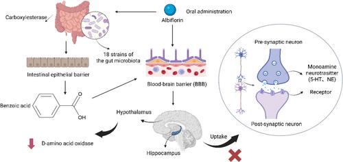 Albiflorin on Neuropsychiatric and Neurodegenerative Disorders: A Systematic Review