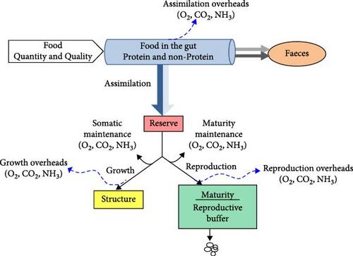A Nutritional Bioenergetic Model for Farmed Fish: Effects of Food Composition on Growth, Oxygen Consumption and Waste Production