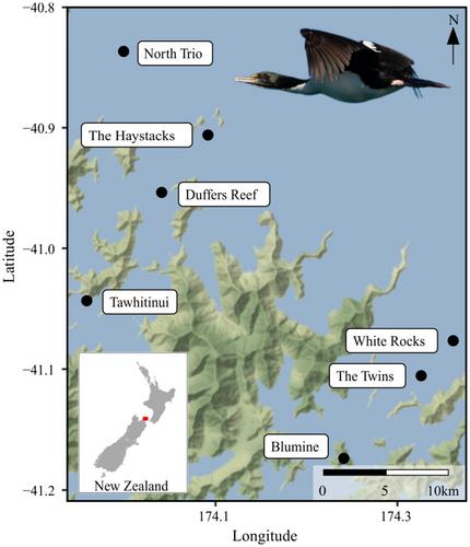 Cross-Validation of Diet Determination Methods for Seabird Conservation