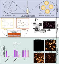 Assessing the potential of chlorido[N,N'-bis(salicylidene)-1,2-phenylenediamine]iron(III): Exploring delivery through lipid-based nanocarriers