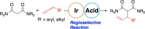 Iridium-catalyzed regioselective hydroalkylation of terminal Allenes with malonic amides
