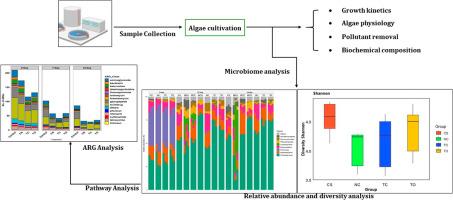 Microalgae inoculation increases bacterial diversity and gene abundances related to nutrient removal while decreasing antibiotic resistant genes in municipal wastewater