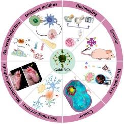 Multifunctional gold nanoclusters as next-generation theranostic platforms for disease management