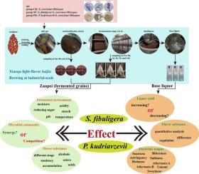 Non-Saccharomyces yeasts enhance yield and flavor in industrial xiaoqu light-flavor baijiu production